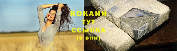 spice Алзамай