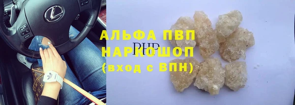 spice Алзамай