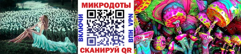 Псилоцибиновые грибы Magic Shrooms  где найти   Югорск 